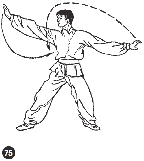Уличное кунфу i_116.png