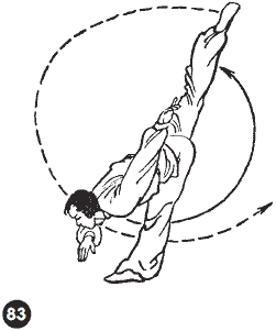 Уличное кунфу i_124.png