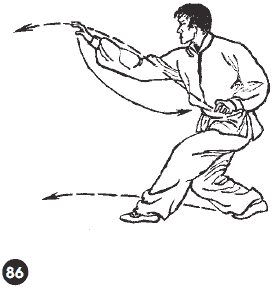 Уличное кунфу i_127.png