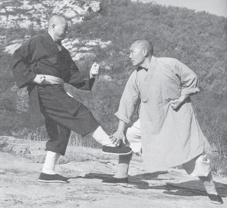 Уличное кунфу i_010.jpg