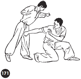 Уличное кунфу i_213.png