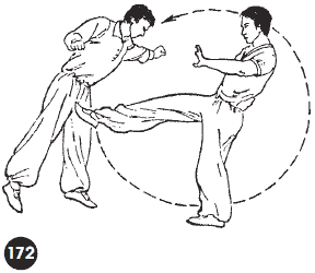Уличное кунфу i_214.png