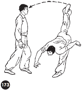 Уличное кунфу i_215.png