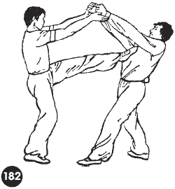 Уличное кунфу i_224.png