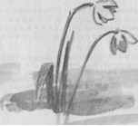Белый флюгер _30.jpg