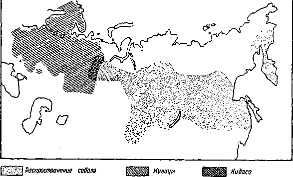 Гибридизация животных i_012.png