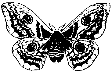 Гибридизация животных i_026.png