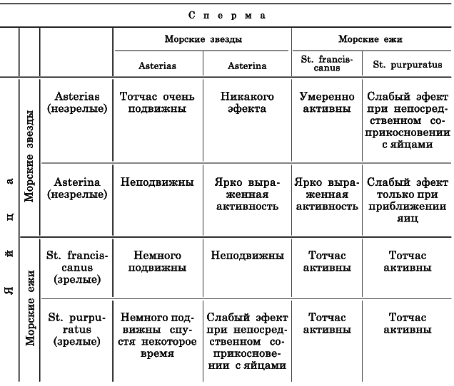 Гибридизация животных i_043.png