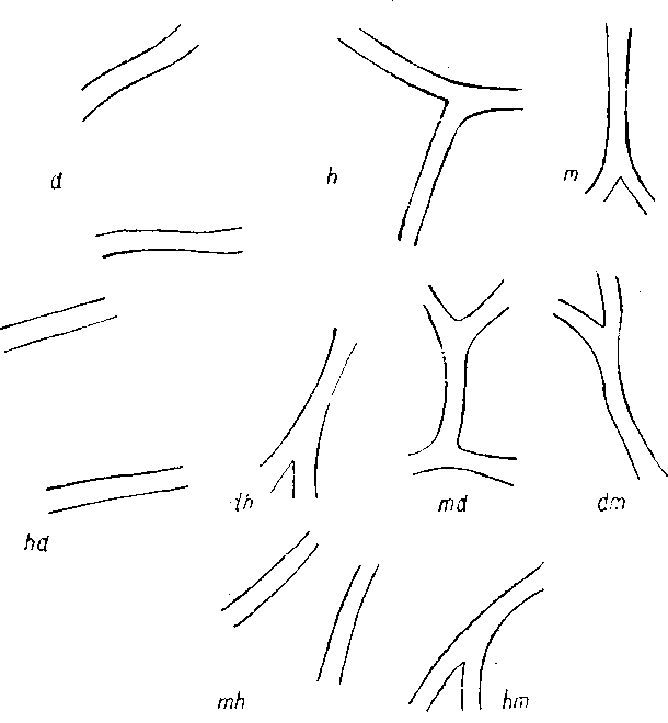 Гибридизация животных i_101.png