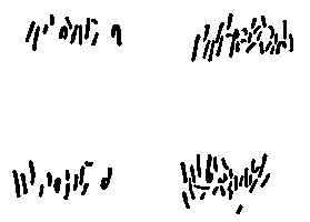 Гибридизация животных i_103.png