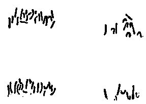 Гибридизация животных i_104.png