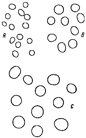 Гибридизация животных i_107.png