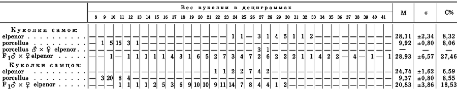 Гибридизация животных i_112.png
