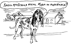 Голубая книга сказок кота Мурлыки i_018.png