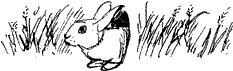 Голубая книга сказок кота Мурлыки i_027.png
