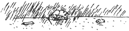 Голубая книга сказок кота Мурлыки i_035.png