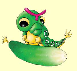 Энциклопедия покемонов Caterpie.jpg