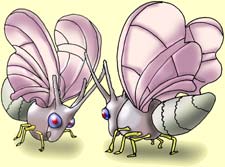 Энциклопедия покемонов venomoth.jpg
