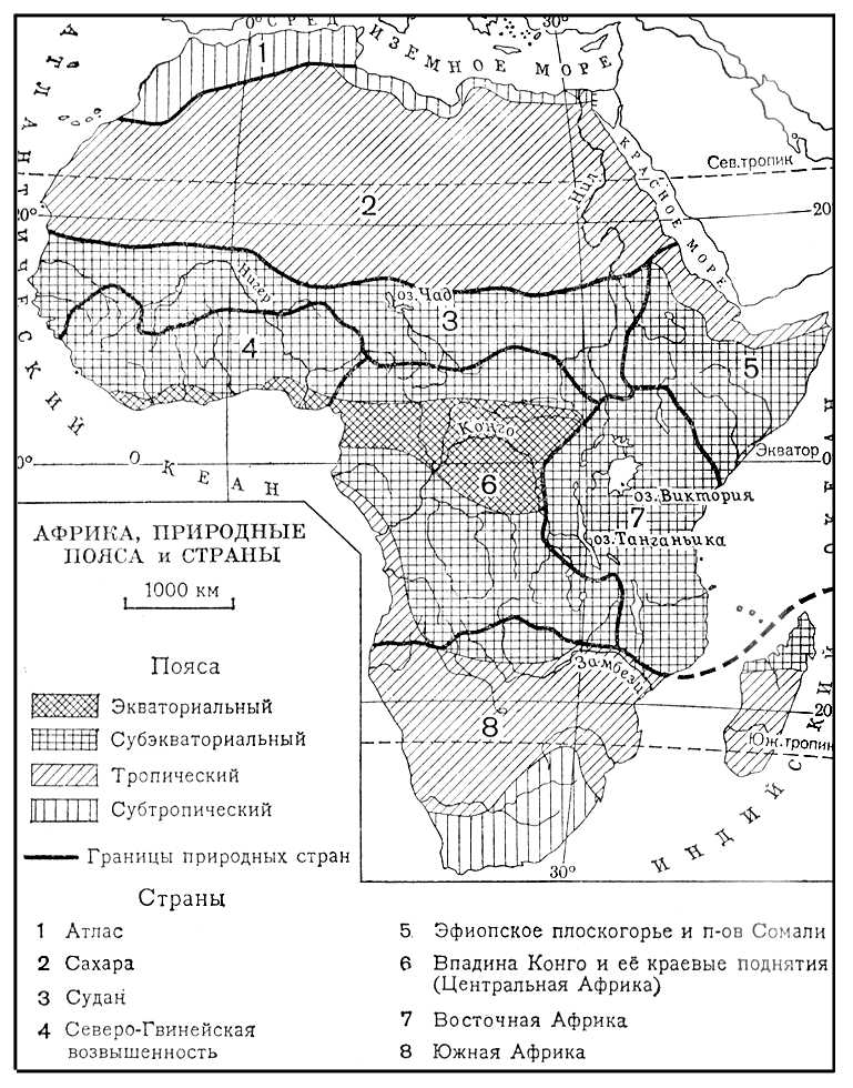 Большая Советская Энциклопедия (АФ) i010-001-256232002.jpg