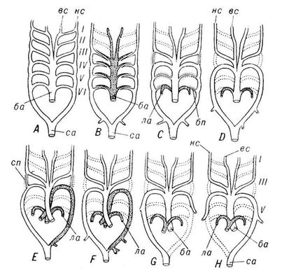 Большая Советская Энциклопедия (АР) i009-001-216795413.jpg