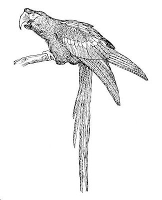 Большая Советская Энциклопедия (АР) i010-001-273108519.jpg