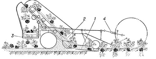 Большая Советская Энциклопедия (АР) i009-001-224313450.jpg