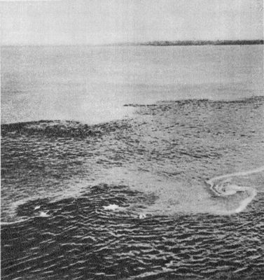 Большая Советская Энциклопедия (АМ) i010-001-280353013.jpg