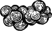 Виноделие в домашних условиях i_011.png