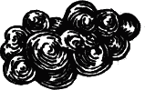 Виноделие в домашних условиях i_023.png