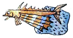Отшельник и Роза i_012.jpg