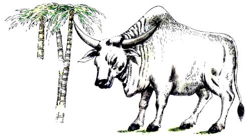 Мохнатая азбука i_011.jpg