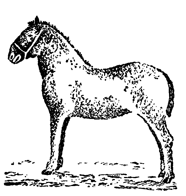 Мутант-5 img_8.png