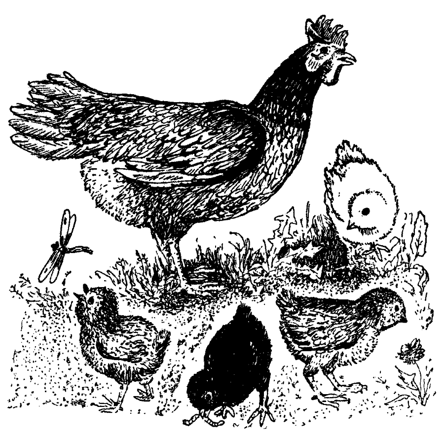 Мутант-5 img_13.png