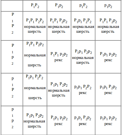 Мутант-5 img_21.png