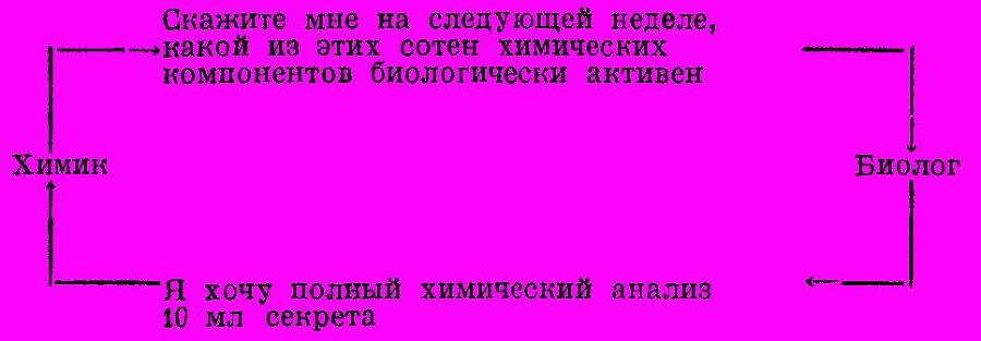 О крысах и мышах _10.jpg