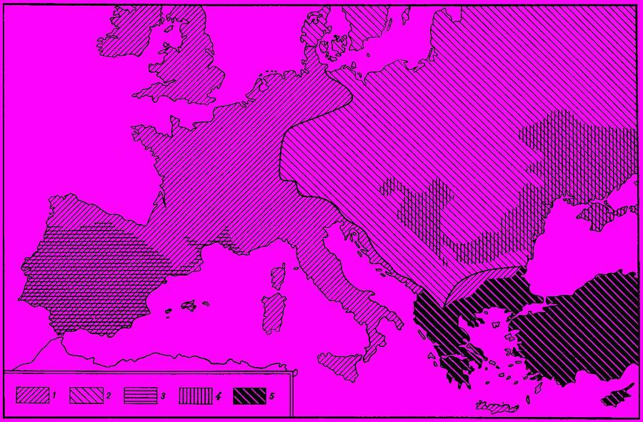 О крысах и мышах _4.jpg