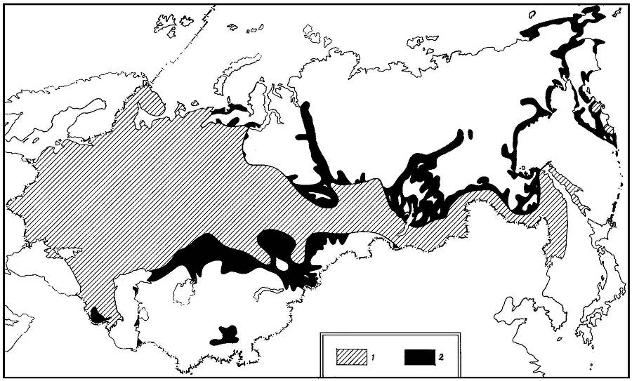 О крысах и мышах _5.jpg