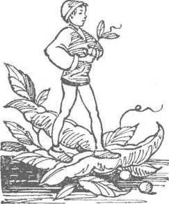 За морями, за горами (с илл.) i_007.jpg