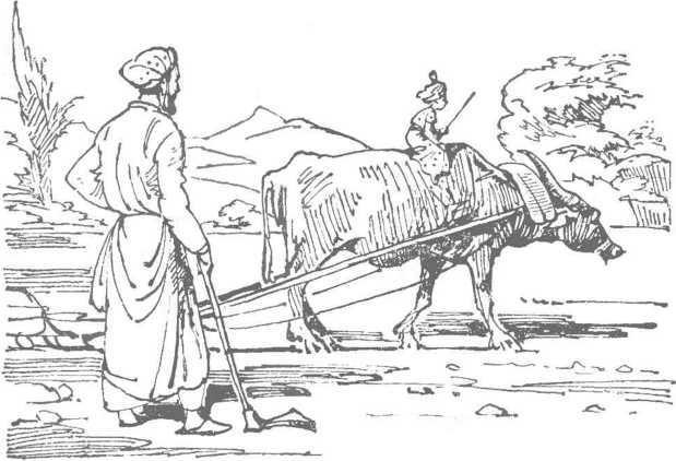 За морями, за горами (с илл.) i_089.jpg