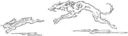 За морями, за горами (с илл.) i_117.jpg