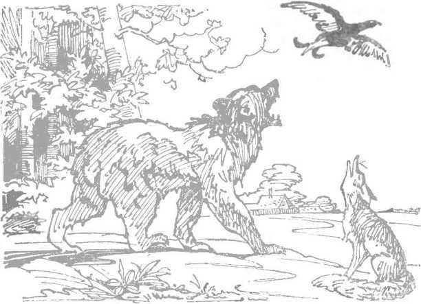 За морями, за горами (с илл.) i_017.jpg