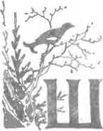 За морями, за горами (с илл.) i_018.jpg