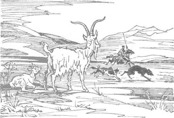 За морями, за горами (с илл.) i_020.jpg