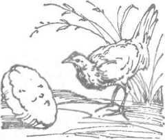 За морями, за горами (с илл.) i_030.jpg
