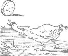 За морями, за горами (с илл.) i_034.jpg