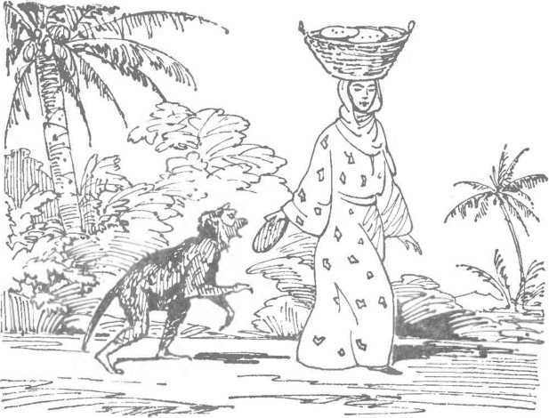 За морями, за горами (с илл.) i_036.jpg