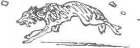 За морями, за горами (с илл.) i_068.jpg