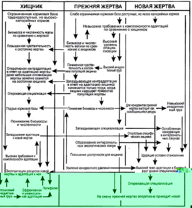 Газета Троицкий Вариант   43 (22_08_2009) TAGhttp___trv-science_ru_uploads_43N-22_jpg700139