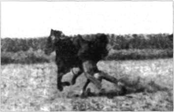 Тайны боевых искусств Украины i_330.jpg