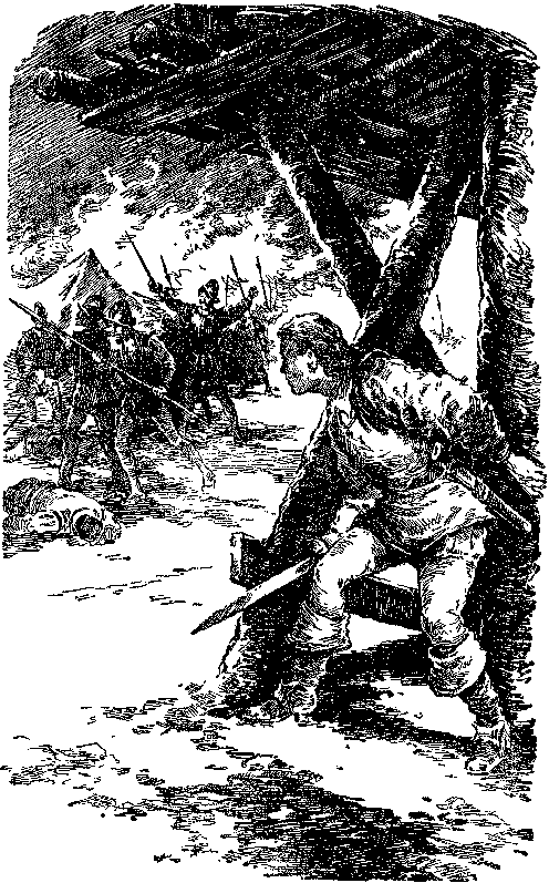 Перо фламинго i_013.png